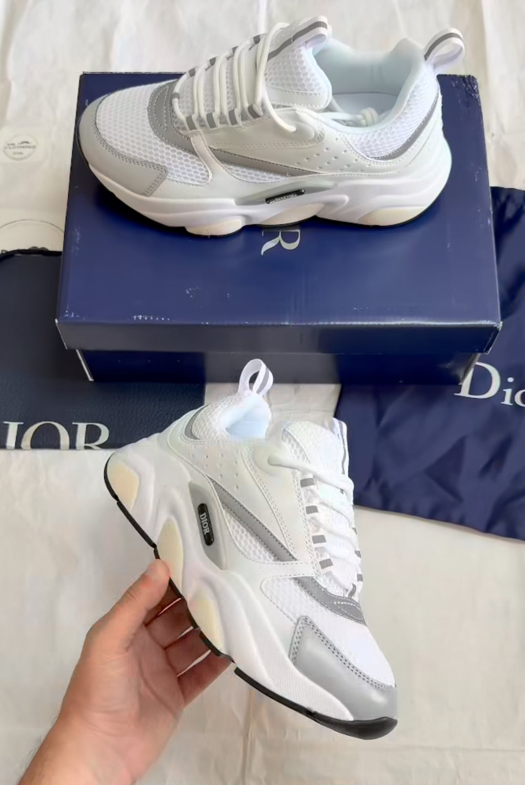Dior B 22