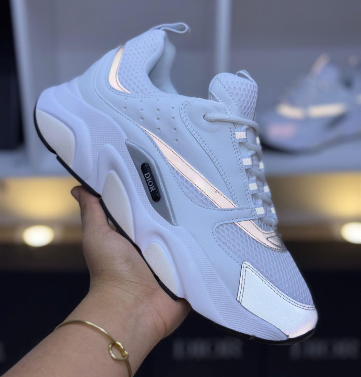 Dior B 22