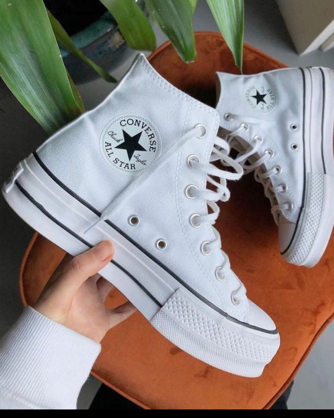 Convers tela blanca