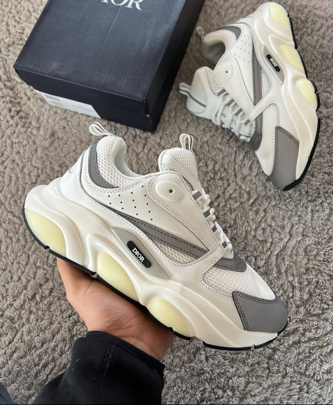 Dior B 22